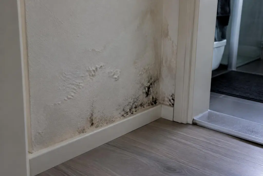 Lekdetectie Doorn – vochtplek met schimmel op een muur